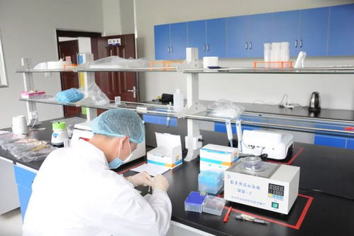 黃梅縣市場監(jiān)督管理局食品快檢服務(wù)中心2024年2月28日與3月4日檢測結(jié)果報(bào)告